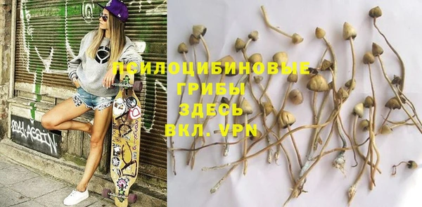 твердый Аркадак