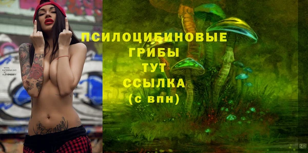 твердый Аркадак